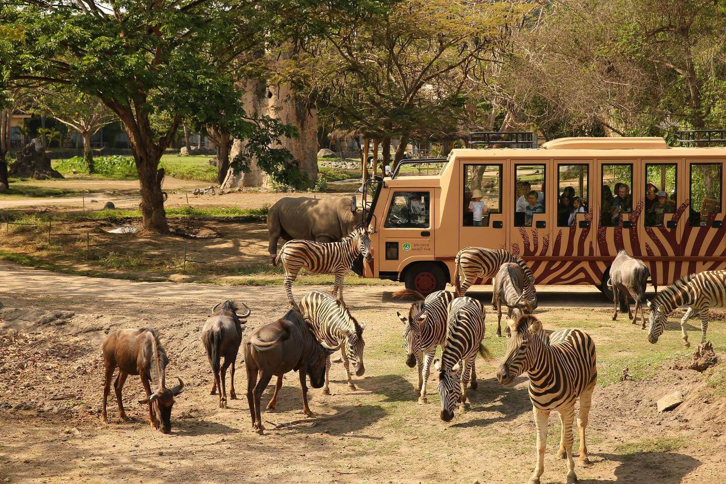 safari park in bali