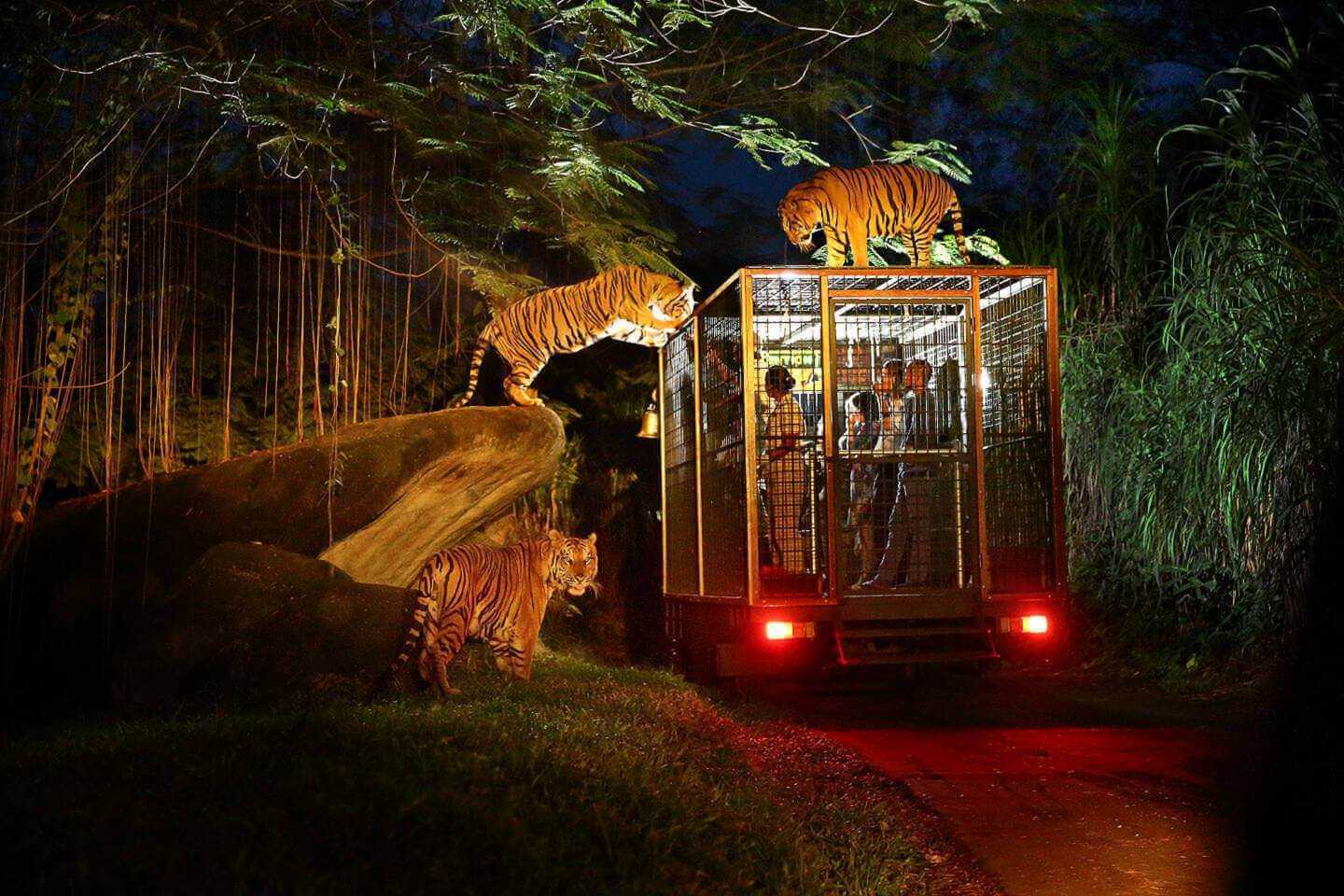 night safari tickets booking