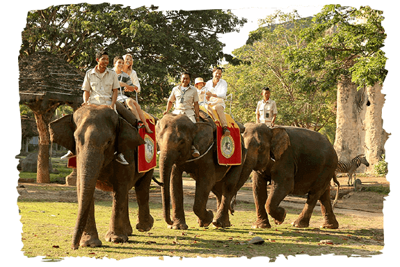 image-elephant-back-safari-1