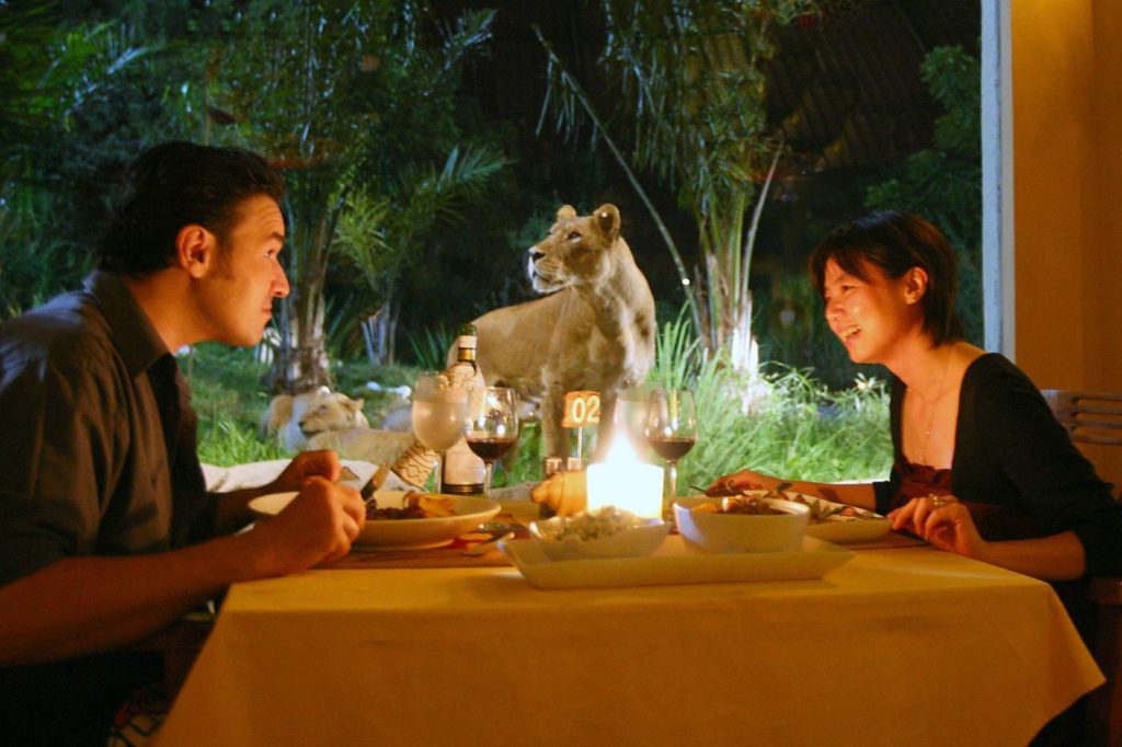 night safari bali dinner