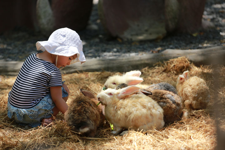 petting zoo bali safari