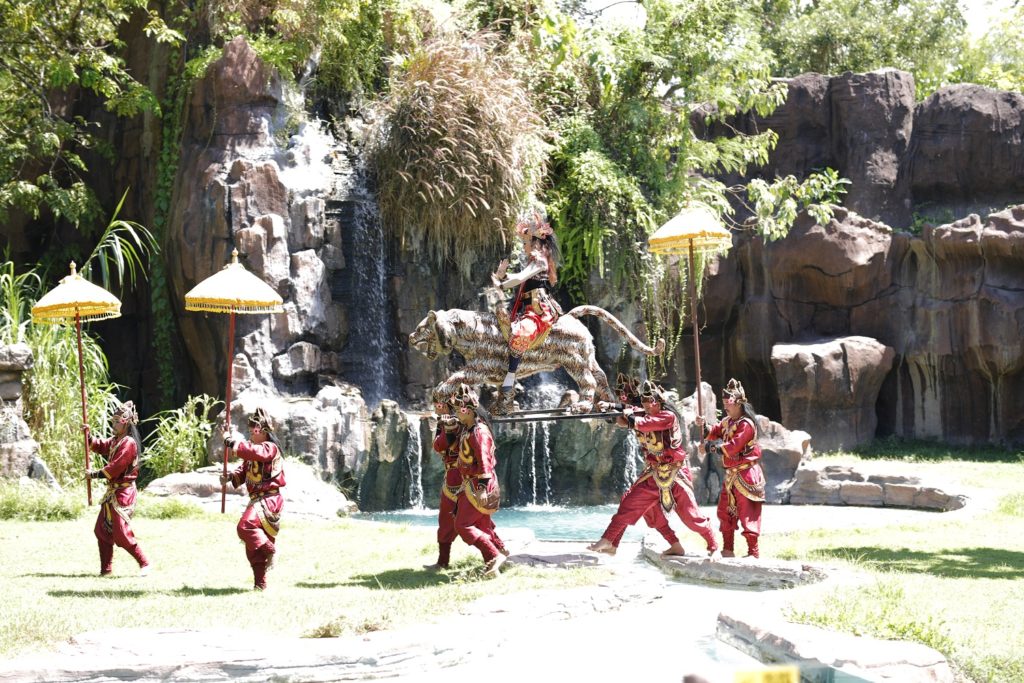 The Big cat show showing local culture of Bali only at Bali Safari Park