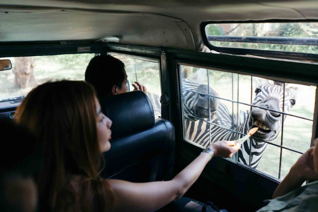 Bali Safari jeep 4x4 for private experience