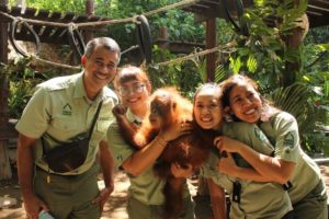 International Monkey Day – December 14th - AZPetVet