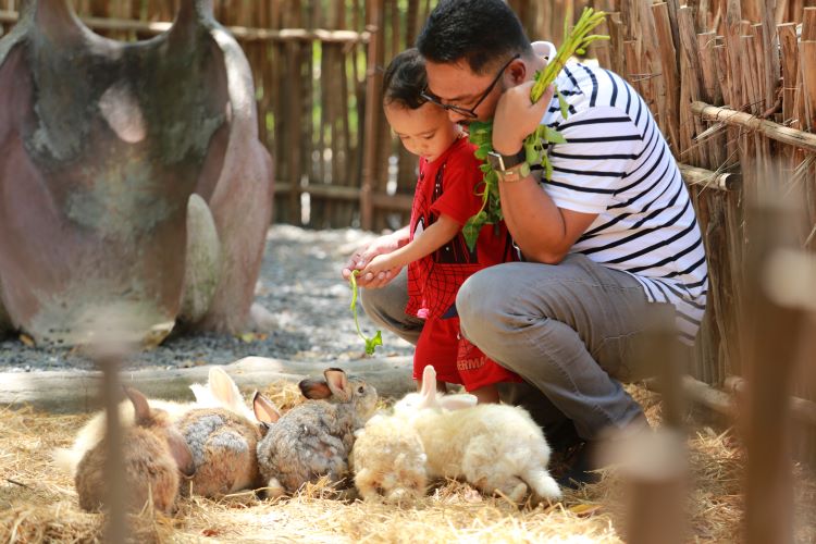 petting zoo bali safari