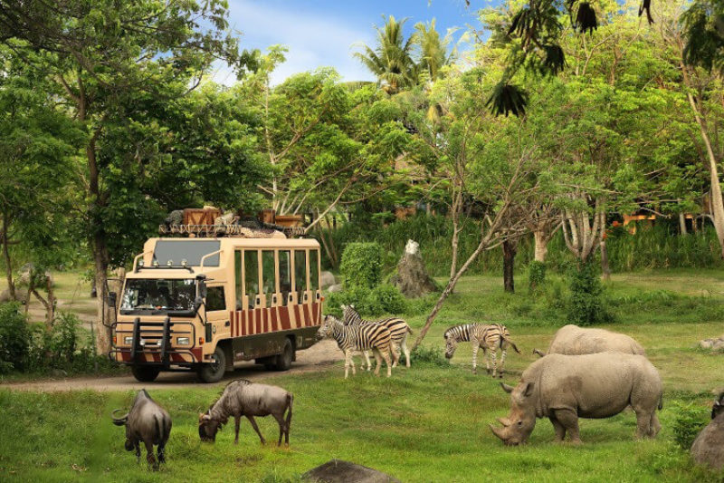 bali safari vs zoo