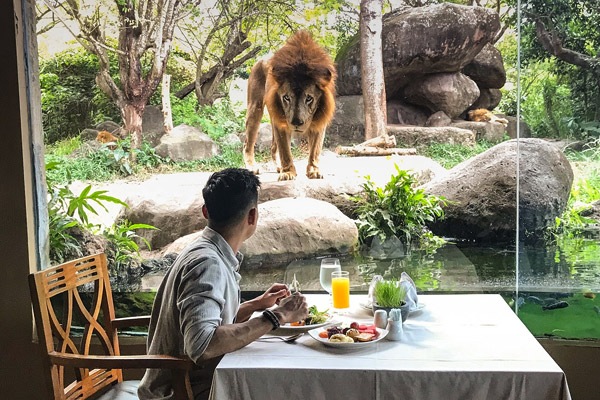 Fine dinning at Tsavo Lion Restaurant Bali Safari Park