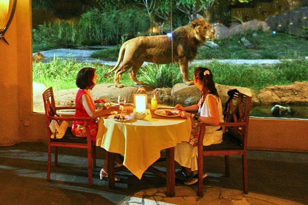 lion safari restaurant