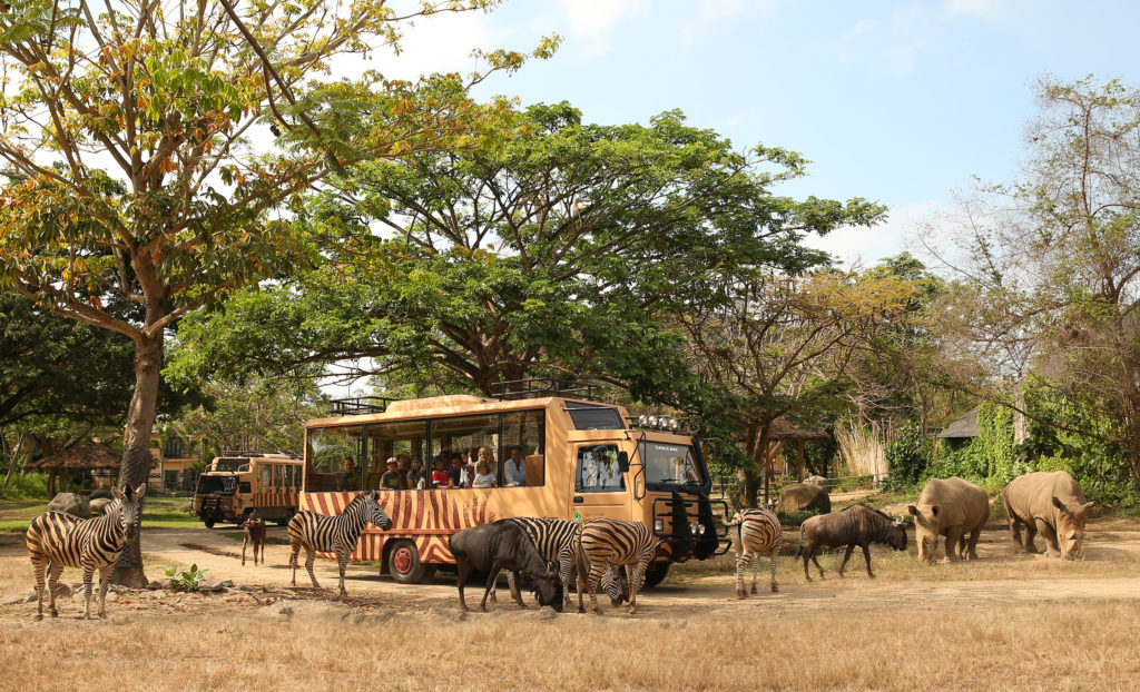 Safari Journey at Bali Safari Park