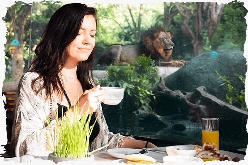 breakfast-with-lions-1