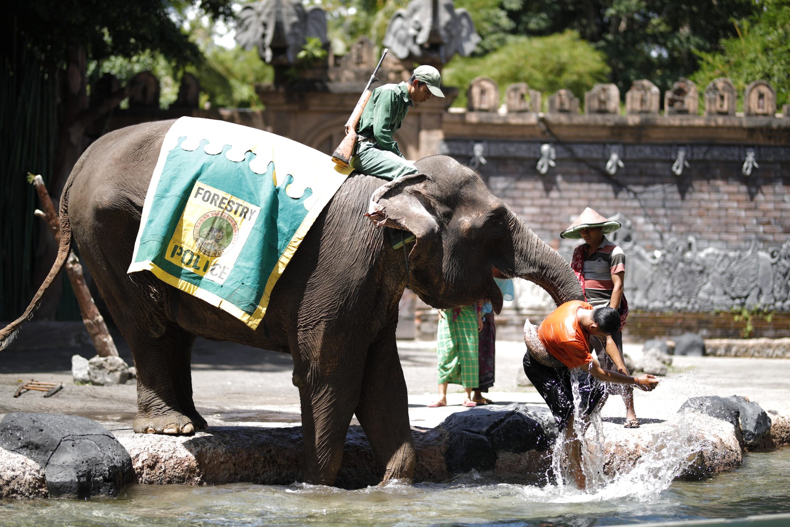 3 Edutainment Shows in Bali Safari Park - Bali Safari Marine Park