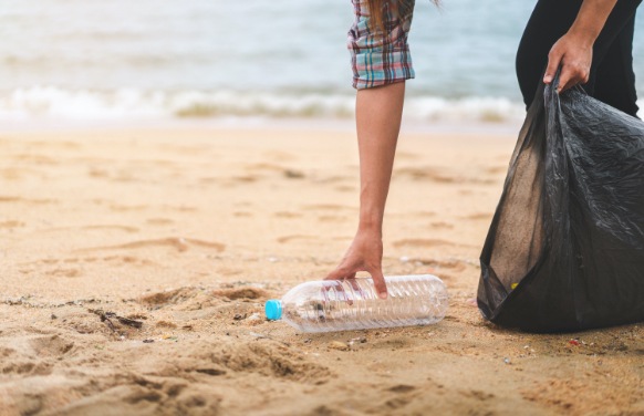 clean the beach