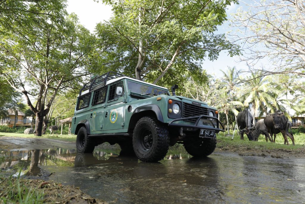 bali jeep safari