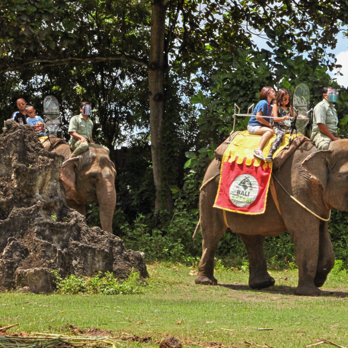 Why Does Wildlife Matters? - Taman Safari Bali