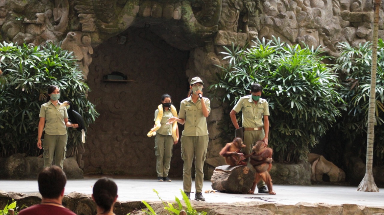 animal show presentation at Bali Safari Park