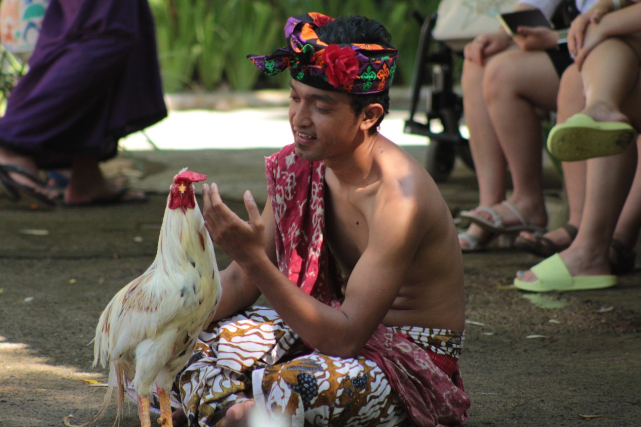 peken-bali-safari-balinese-traditional-activities