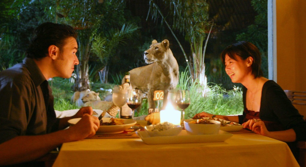 Romantic Dinner at Tsavo Lion Restaurant