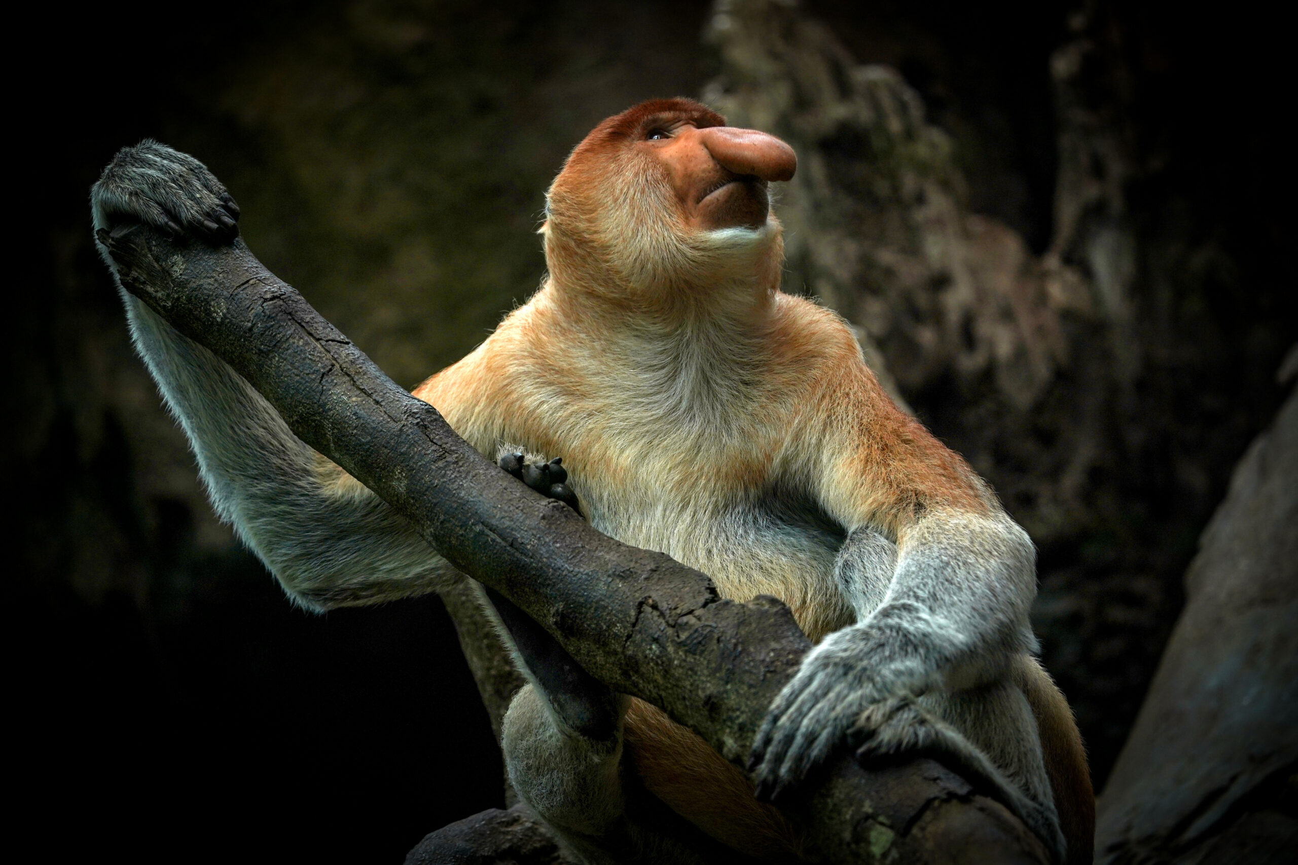 hasil-foto-pemenang-photo-hunting-iapvc-bali-safari-2022