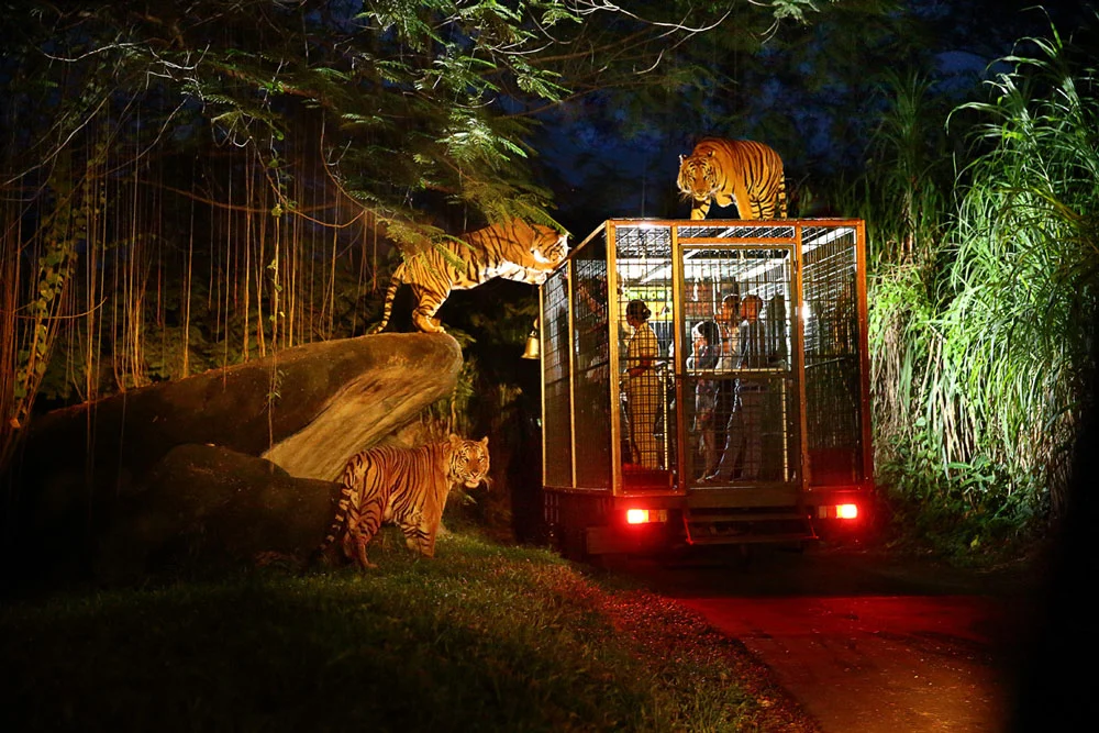 Night Safari at Bali Safari Park