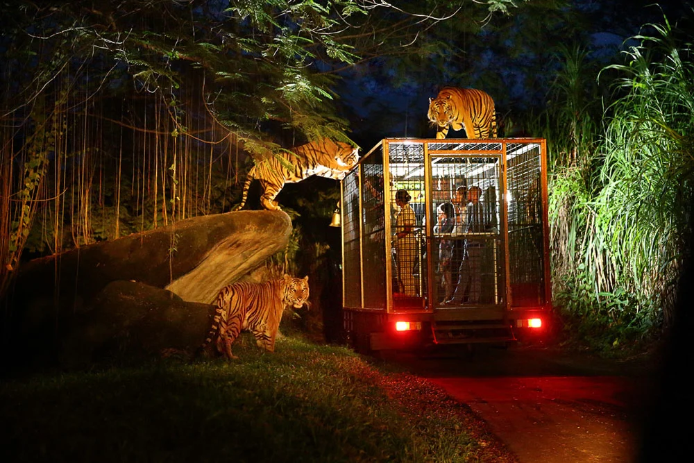 bali safari park discount