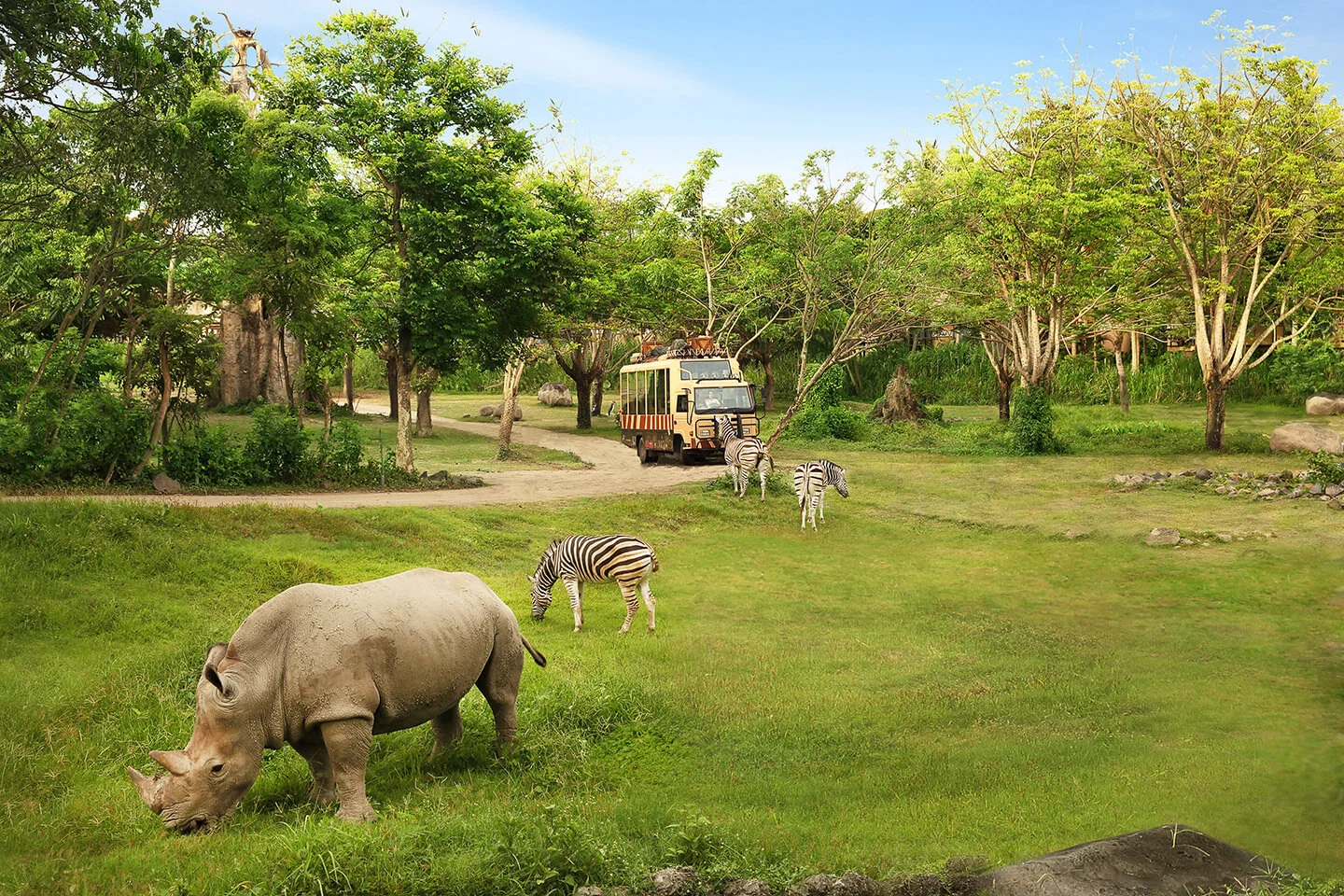 Animal Safari journey