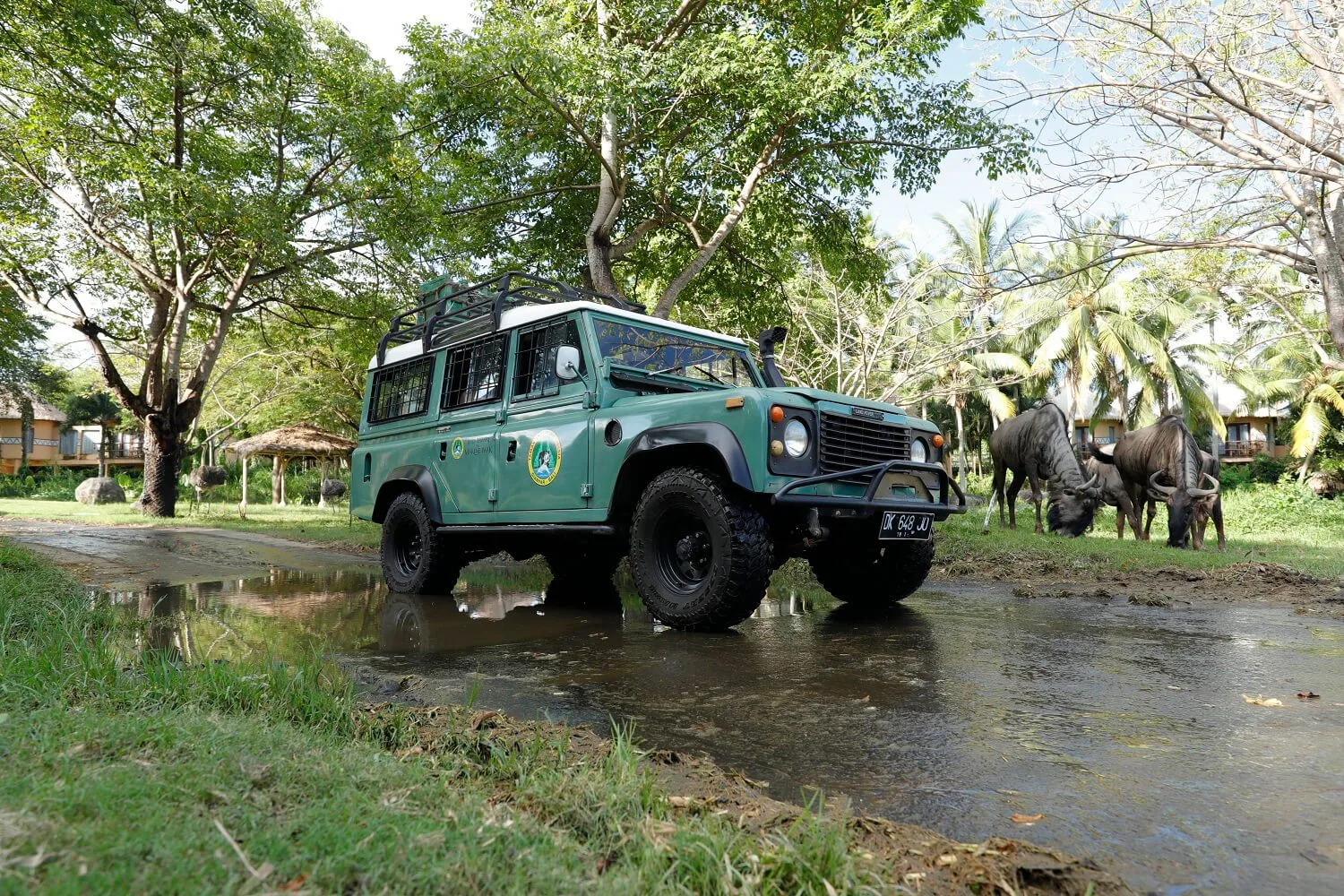 4x4 Safari journey