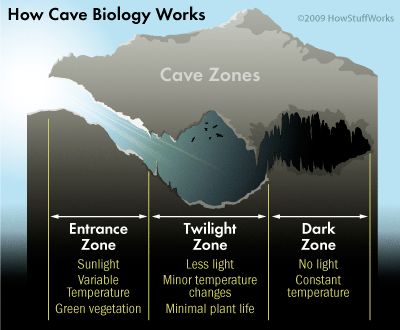 Different Zones of a Cave