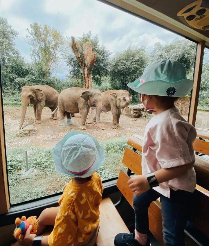 Learn and play at Taman Safari Bali during long weekend