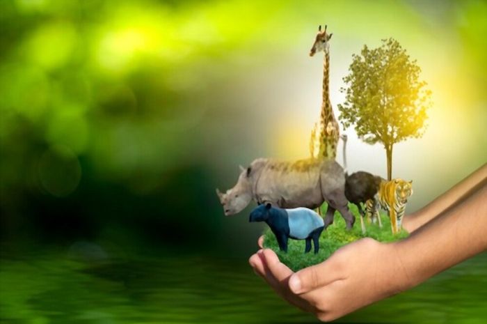 Wildlife Conservation