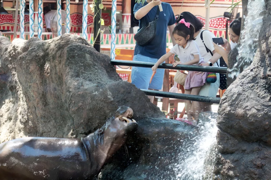 feeding pygmy hippo at Taman Safari Bali