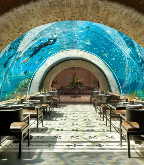 Koral Restaurant Apurva Kempinski