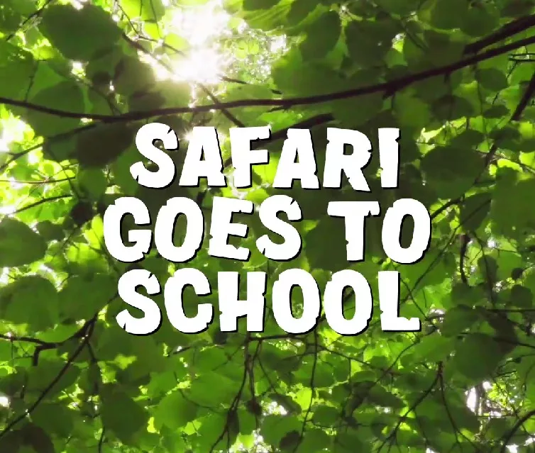 Safari Goes to School