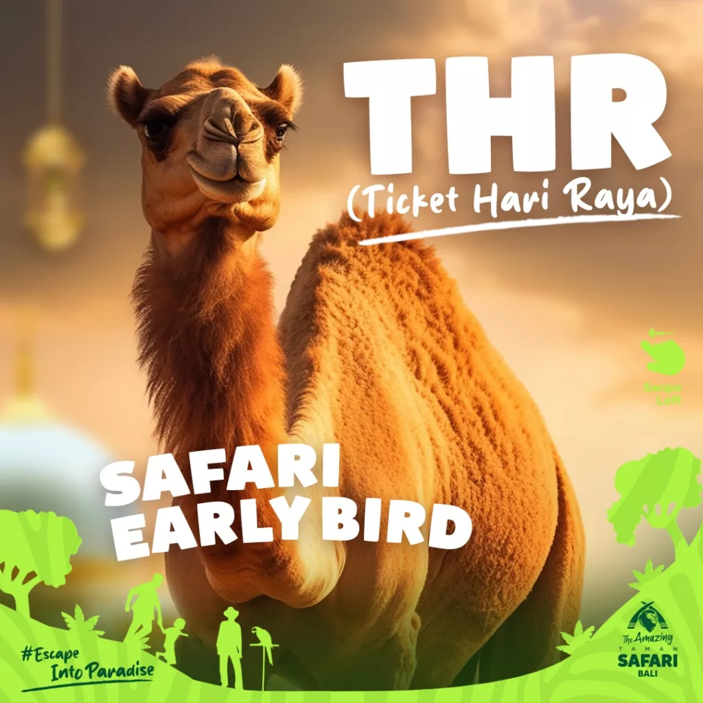 Safari early bird special lebaran